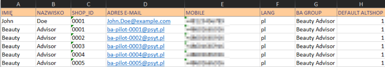 Widok_zawartos_ci_pliku_importowego__Consultant_import__.png