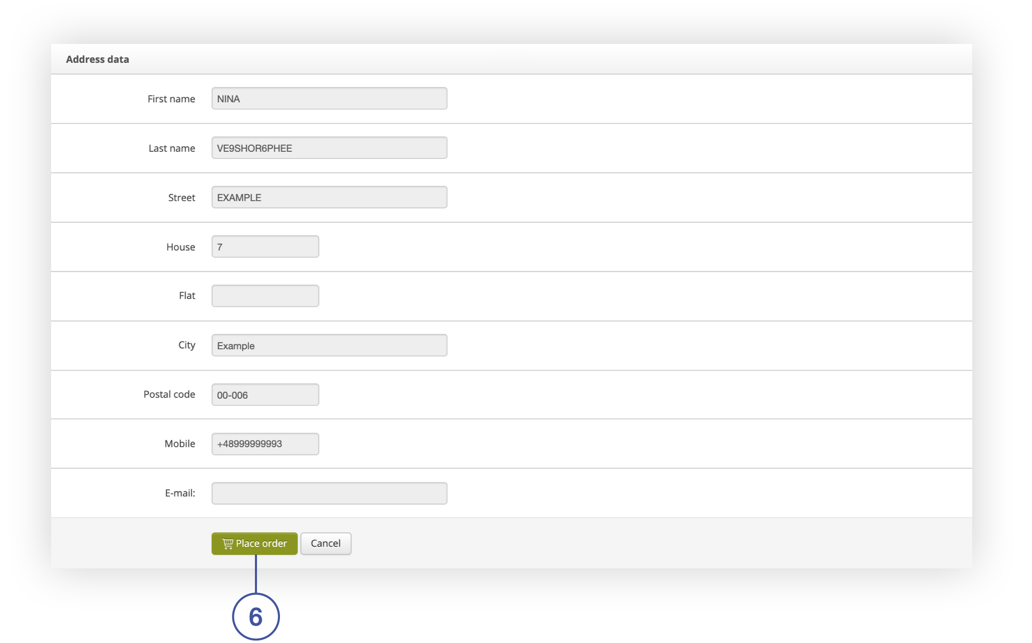 Address_data_column_in_the_Customer_tab.png